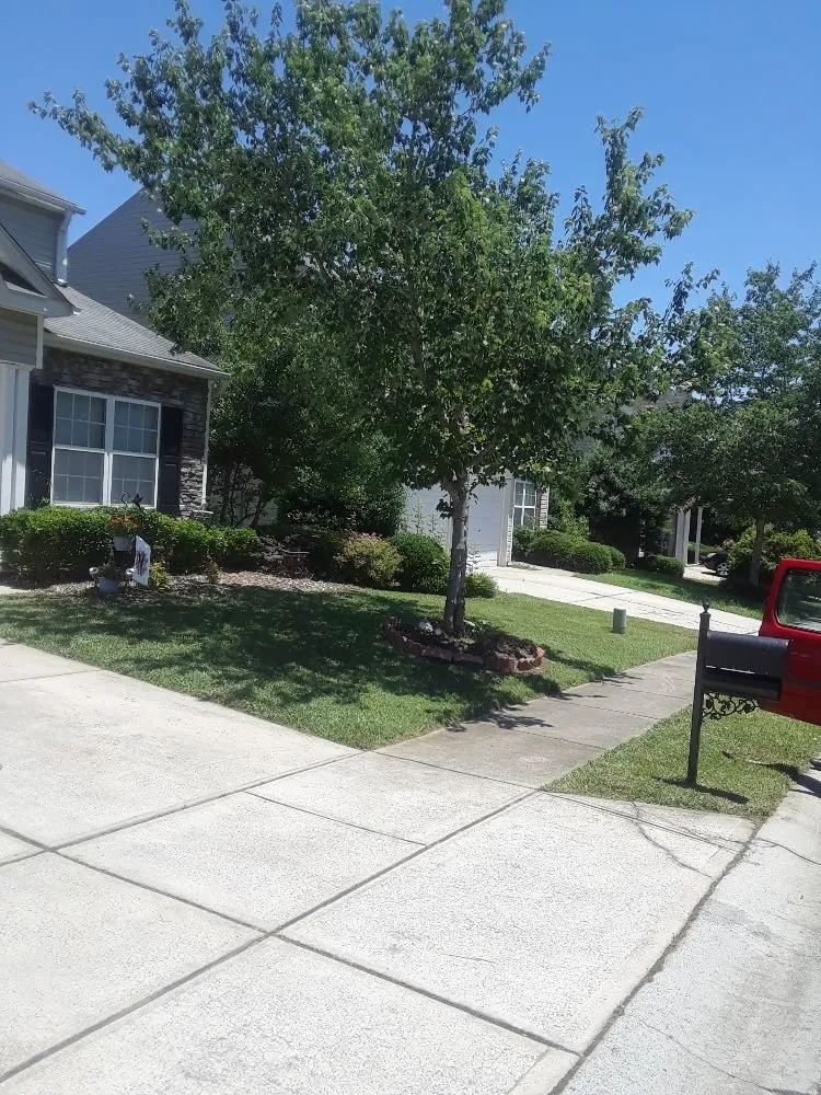Top-rated lawn mowing service for outdoor upgrades across Charlotte, NC - Mo&Trev Lawn Care Services