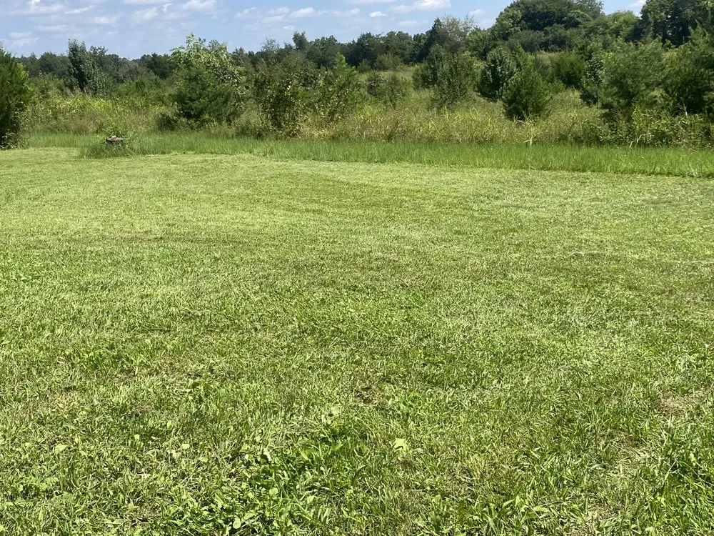 Trusted yard maintenance in Charlotte, NC - Mo&Trev Lawn Care Services