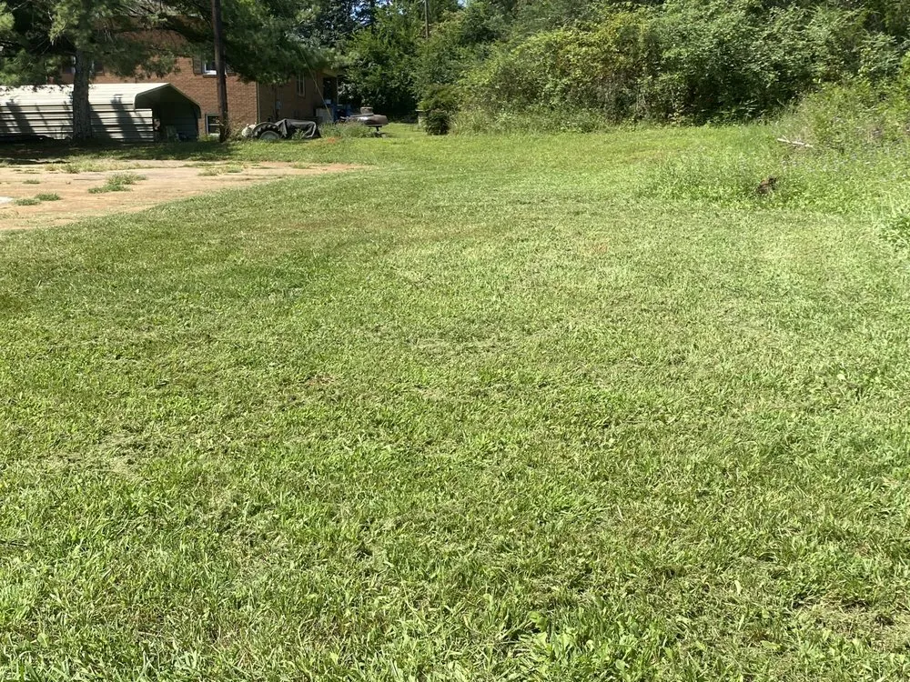 Professional lawn mowing service in Charlotte, NC by Mo&Trev Lawn Care Services