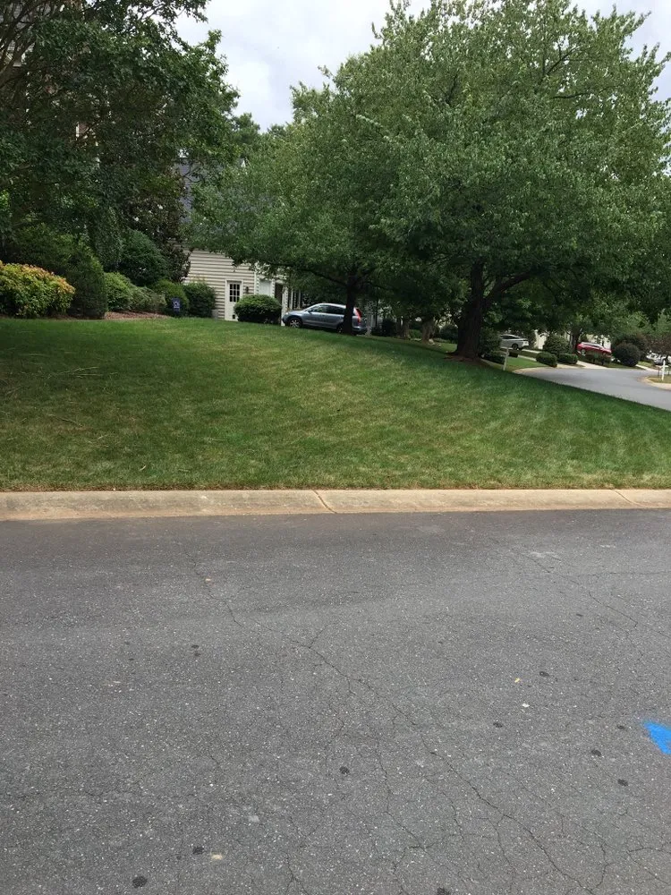 Professional landscape design in Charlotte, NC - Mo&Trev Lawn Care Services