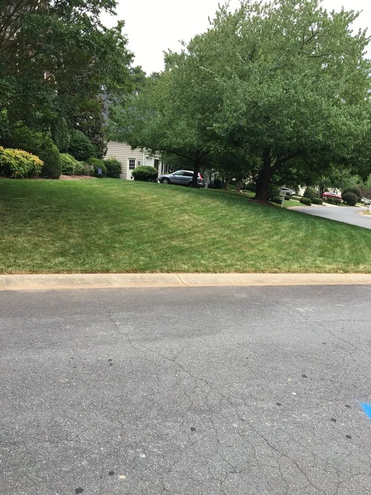 Trusted lawn care service for year-round maintenance across Charlotte, NC - Mo&Trev Lawn Care Services