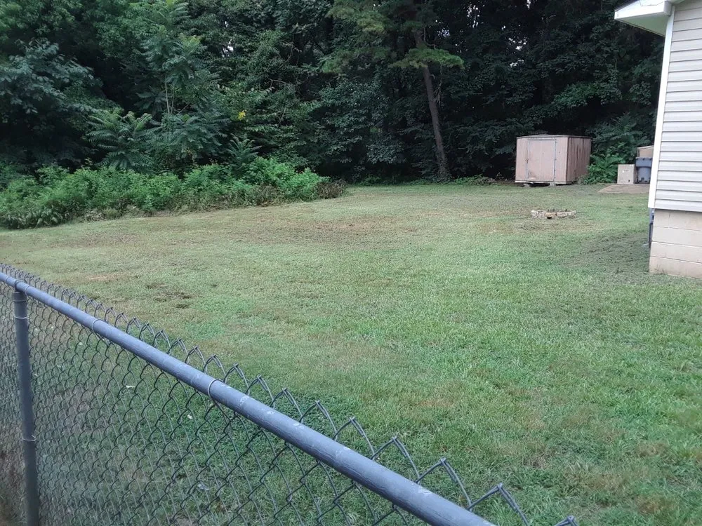 Affordable yard cleanup service with custom design across Charlotte, NC - Mo&Trev Lawn Care Services