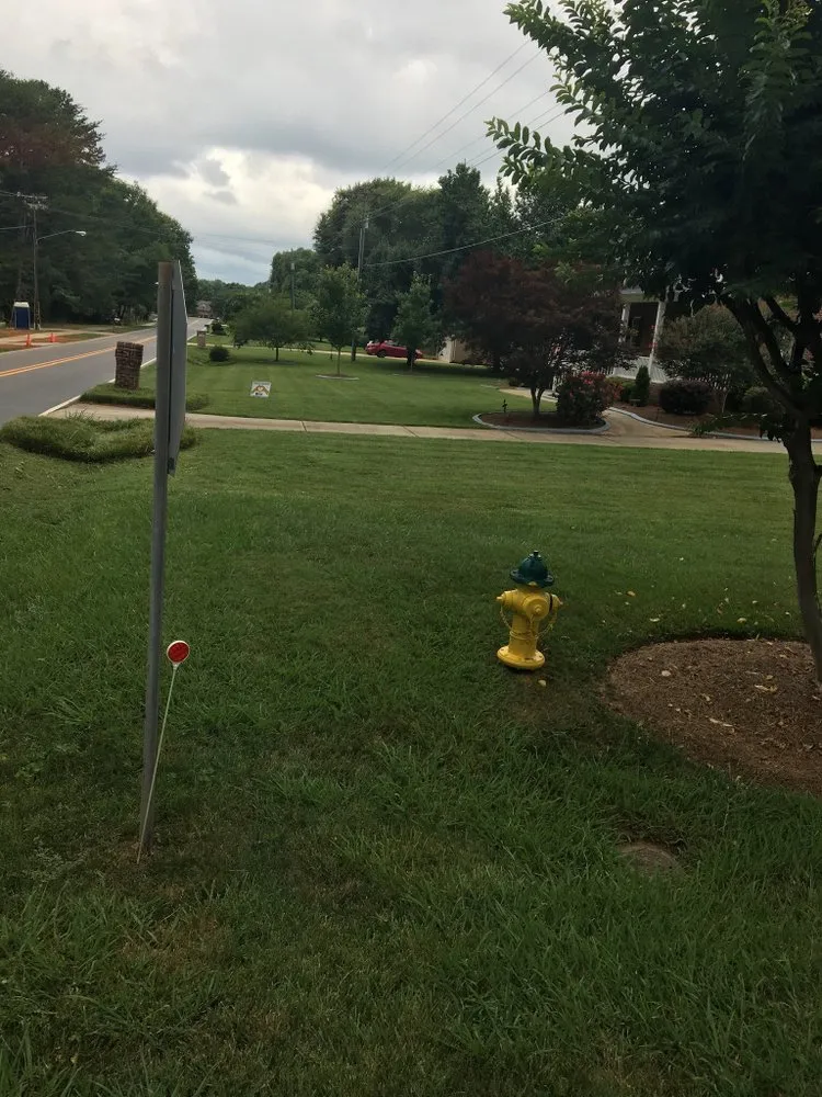 Affordable landscape design in Charlotte, NC by Mo&Trev Lawn Care Services