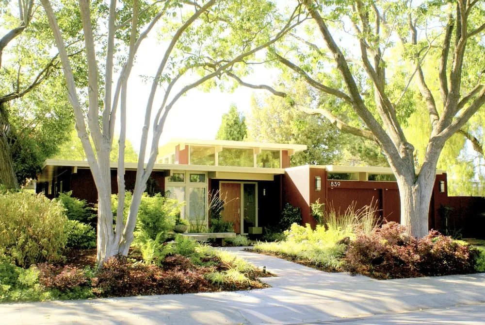 Reliable yard cleanup service in Santa Clara, CA - Mott Landscape