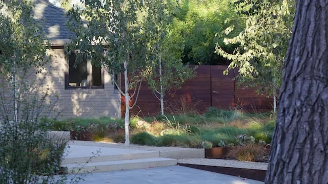 Affordable yard cleanup service near you across Santa Clara, CA - Mott Landscape