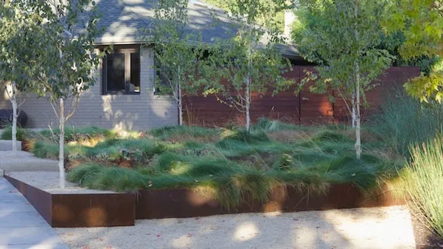 Custom yard maintenance for beautiful yards across Santa Clara, CA - Mott Landscape