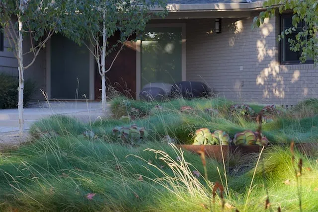 Local landscaping services for outdoor upgrades in Santa Clara, CA by Mott Landscape