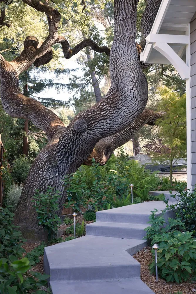 Trusted landscape installation for beautiful yards across Santa Clara, CA - Mott Landscape