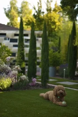 Trusted landscape installation in Santa Clara, CA - Mott Landscape