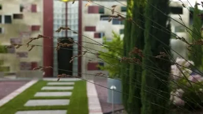 Reliable lawn mowing service in Santa Clara, CA by Mott Landscape