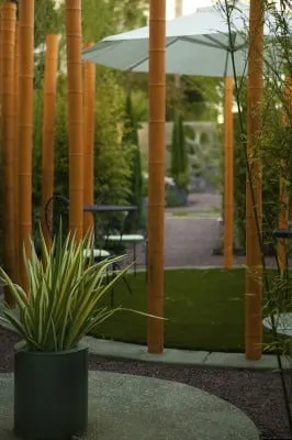 Expert garden landscaping for outdoor upgrades in Santa Clara, CA by Mott Landscape