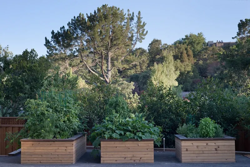 Affordable landscaping services in Santa Clara, CA by Mott Landscape