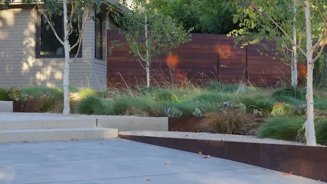 Professional yard maintenance experts serving Santa Clara, CA - Mott Landscape