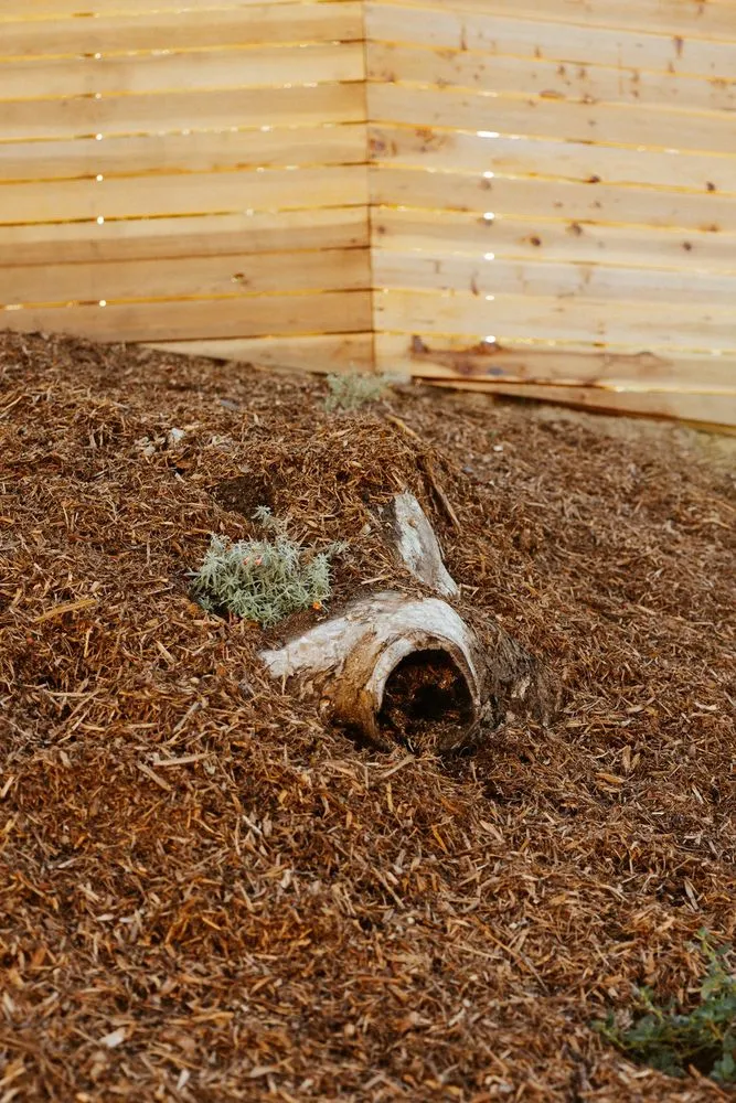 Professional residential landscaping in Pasadena, CA - Mott Restoration