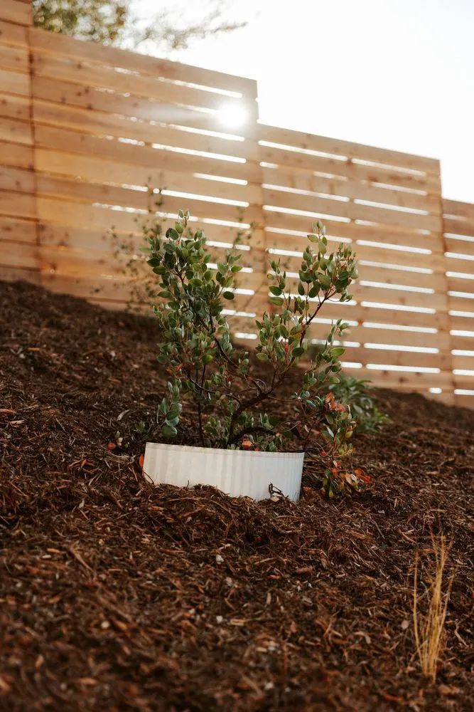 Reliable yard cleanup service with custom design across Pasadena, CA - Mott Restoration