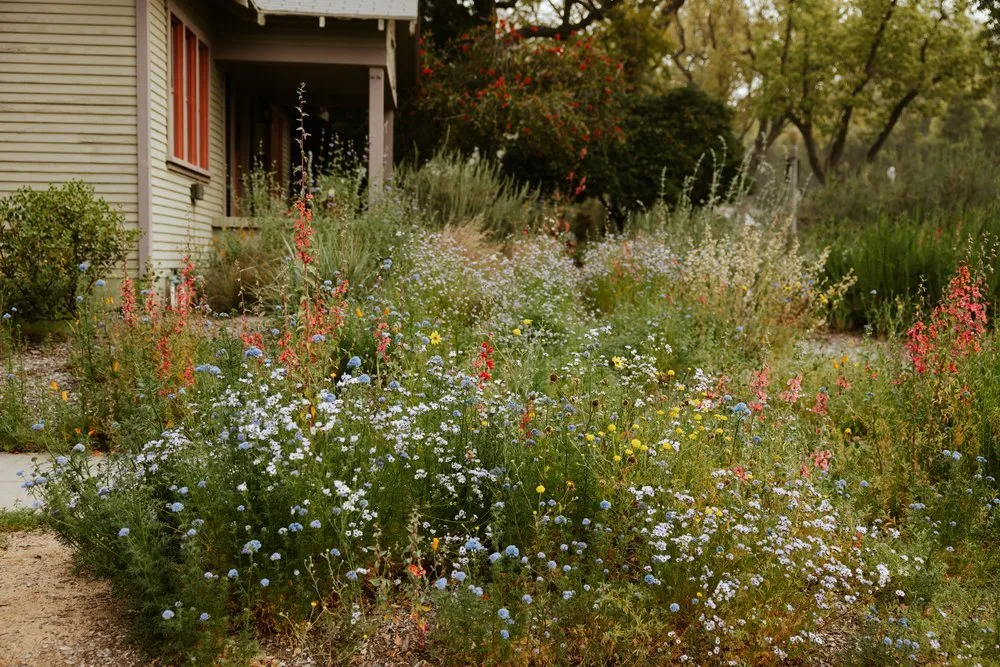 Expert residential landscaping for homes in Pasadena, CA by Mott Restoration