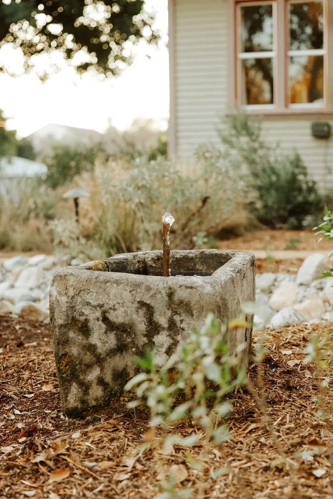 Custom landscaping services in Pasadena, CA - Mott Restoration