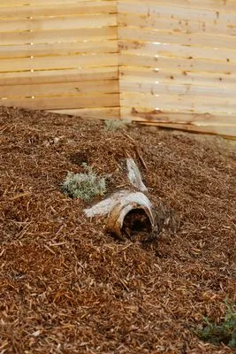 Mott Restoration Logo