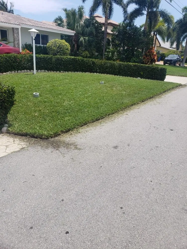 Local yard cleanup service experts serving Pompano Beach, FL - Mott's Landscaping and Tree service