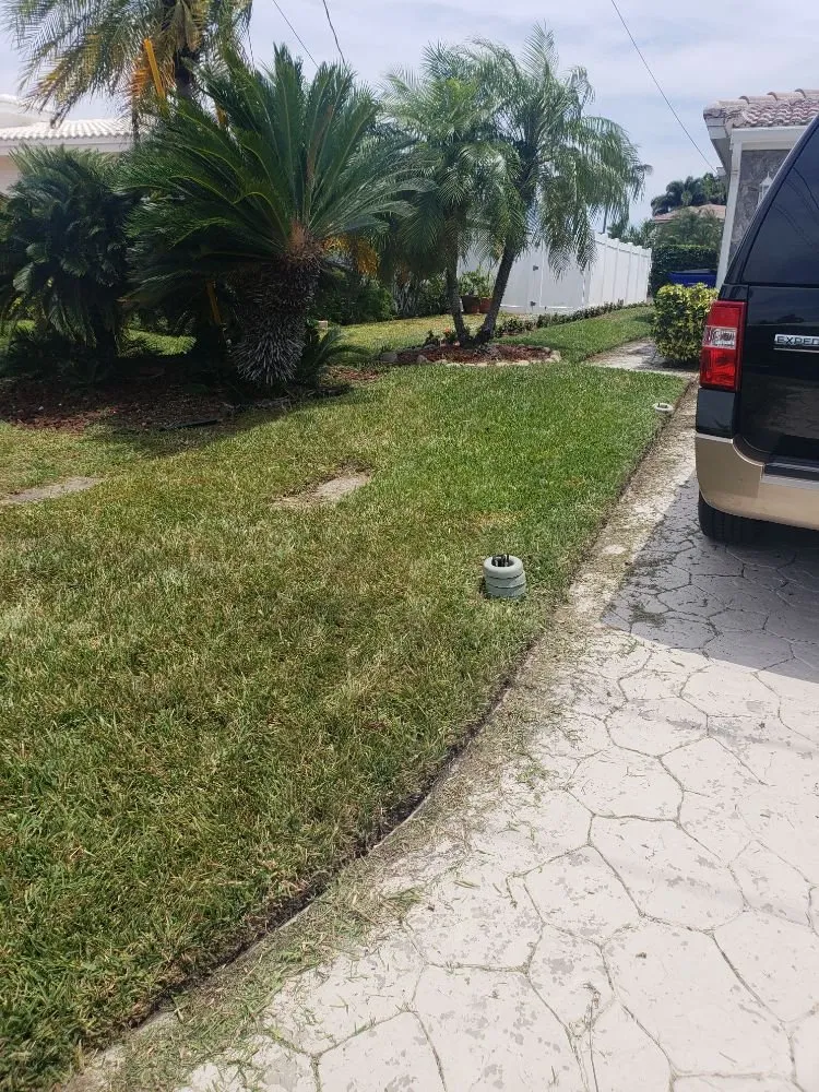 Affordable yard cleanup service in Pompano Beach, FL - Mott's Landscaping and Tree service