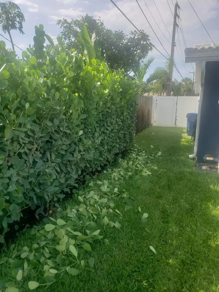 Reliable landscape installation experts serving Pompano Beach, FL - Mott's Landscaping and Tree service