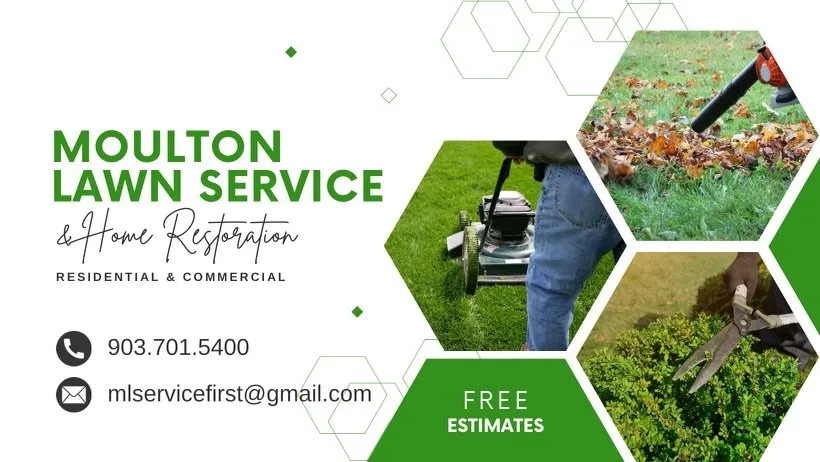 Top-rated residential landscaping for beautiful yards across Mount Pleasant, TX - Moulton Lawn Service & Home Restoration