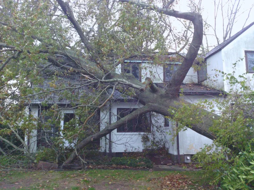 Expert landscape design for year-round maintenance in Hamden, CT by Mount Carmel Tree Service