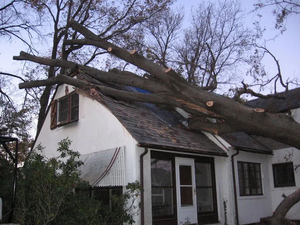 Affordable landscaping services for residential properties in Hamden, CT by Mount Carmel Tree Service