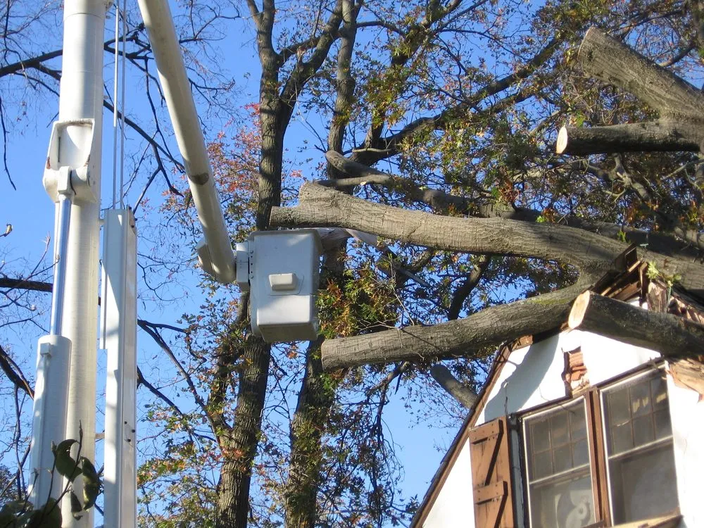 Trusted yard maintenance experts serving Hamden, CT - Mount Carmel Tree Service