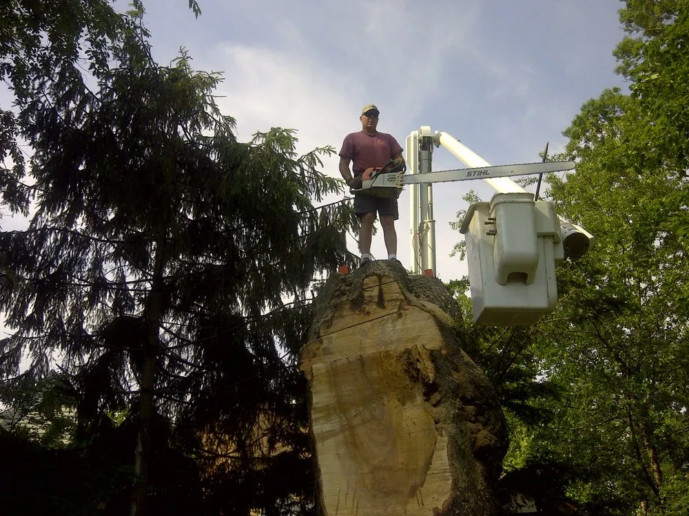 Custom lawn mowing service in Hamden, CT by Mount Carmel Tree Service