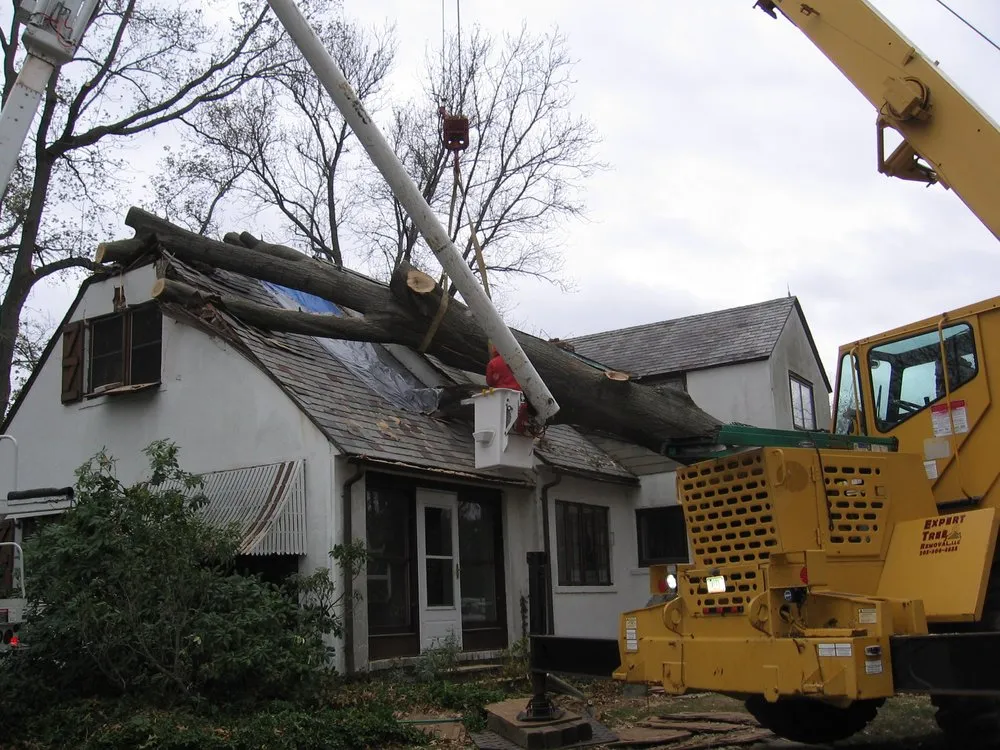 Local lawn care service for outdoor upgrades in Hamden, CT by Mount Carmel Tree Service