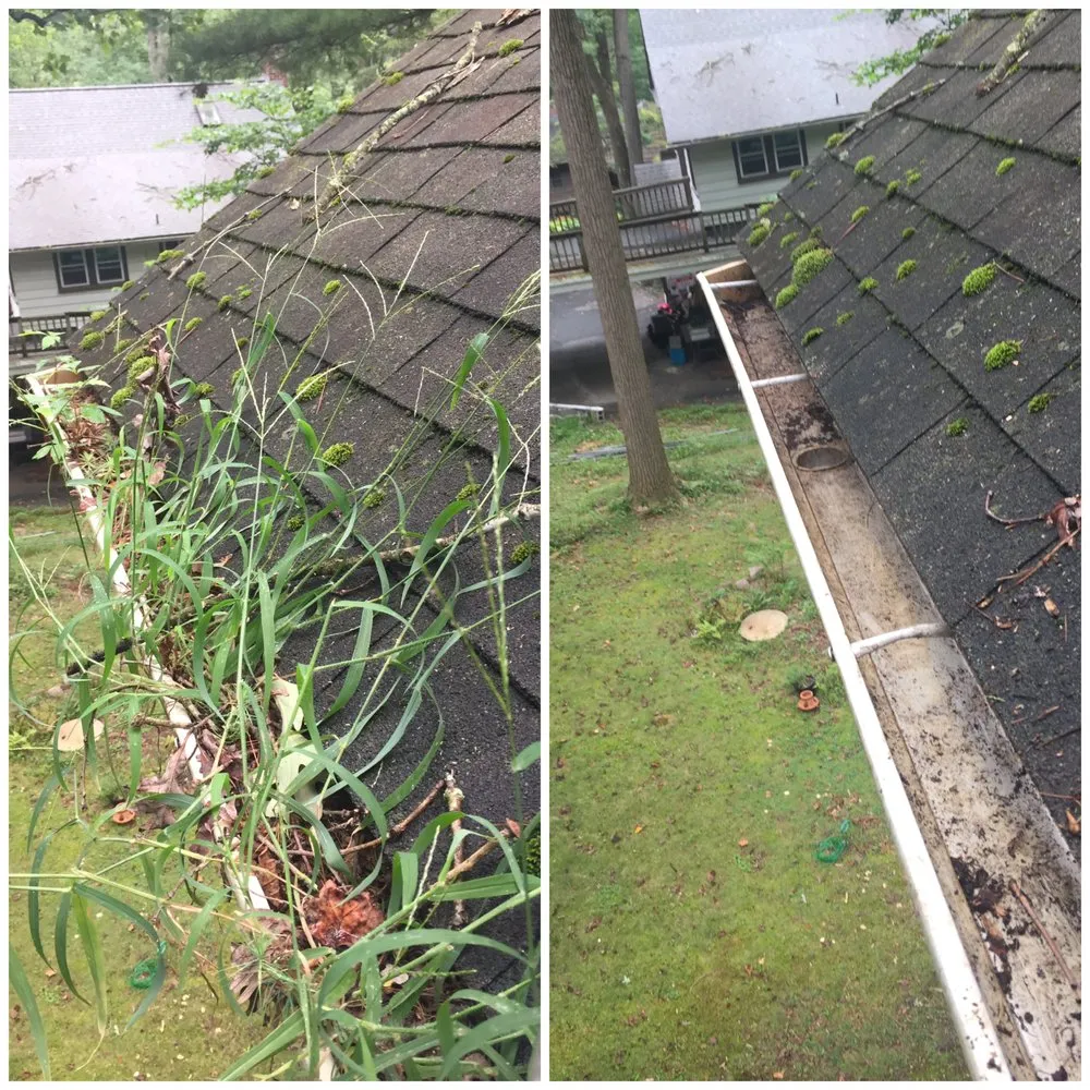 Top-rated outdoor landscaping for beautiful yards in Manheim, PA by Mount Gretna Home Services