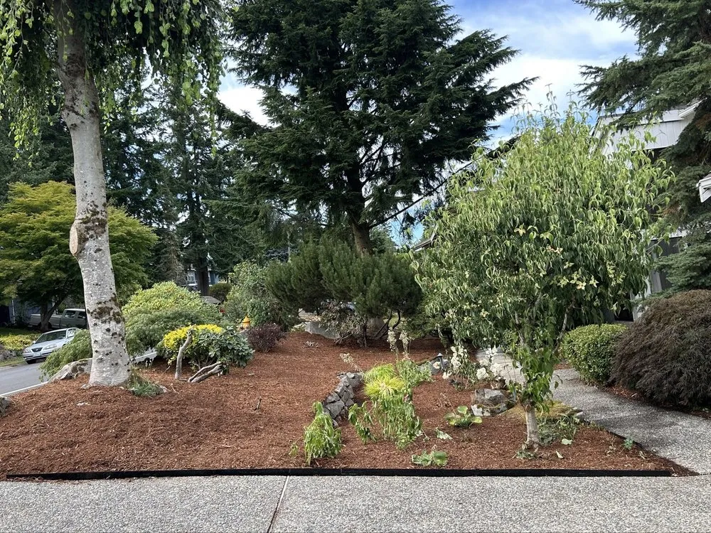 Custom residential landscaping for year-round maintenance in Everett, WA by Mount Olive Landscape & Construction
