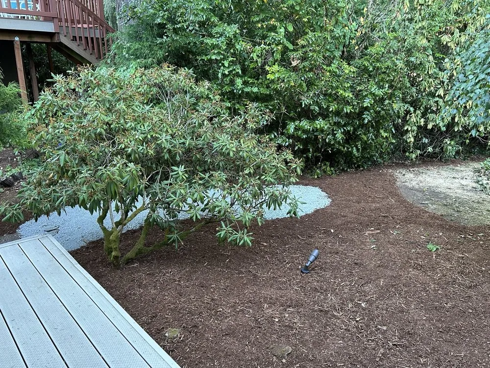 Affordable landscape design in Everett, WA by Mount Olive Landscape & Construction