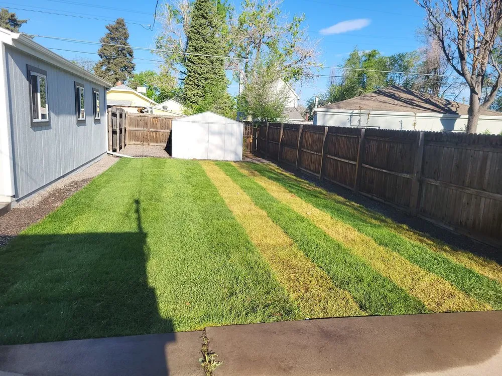 Expert yard cleanup service with custom design in Denver, CO by Mount Sinai Landscaping & Concrete