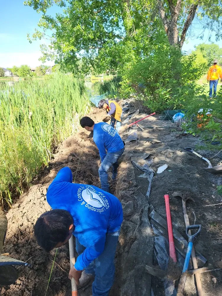 Affordable yard maintenance for beautiful yards across Denver, CO - Mount Sinai Landscaping & Concrete