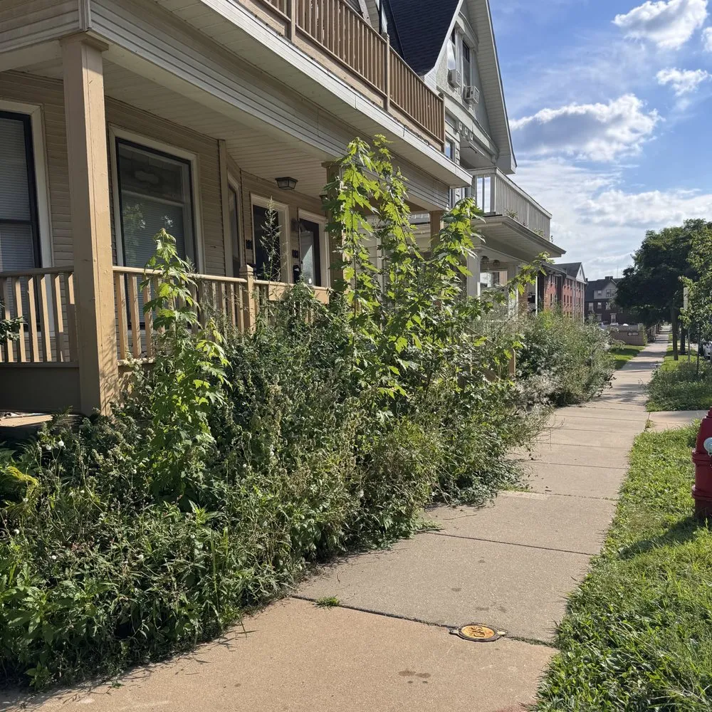 Reliable outdoor landscaping experts serving Verona, WI - Mount Sinai Landscaping