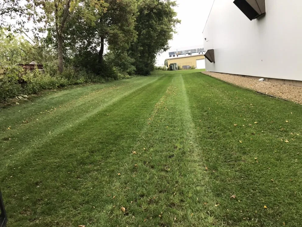 Expert landscaping services near you across Verona, WI - Mount Sinai Landscaping