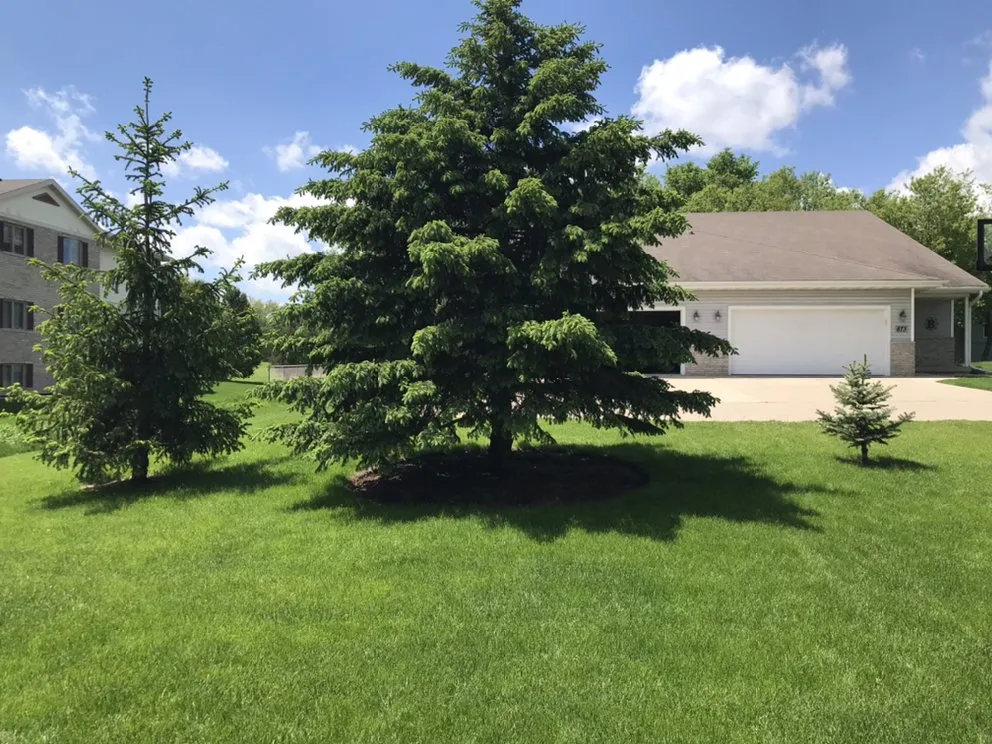 Affordable residential landscaping experts serving Verona, WI - Mount Sinai Landscaping