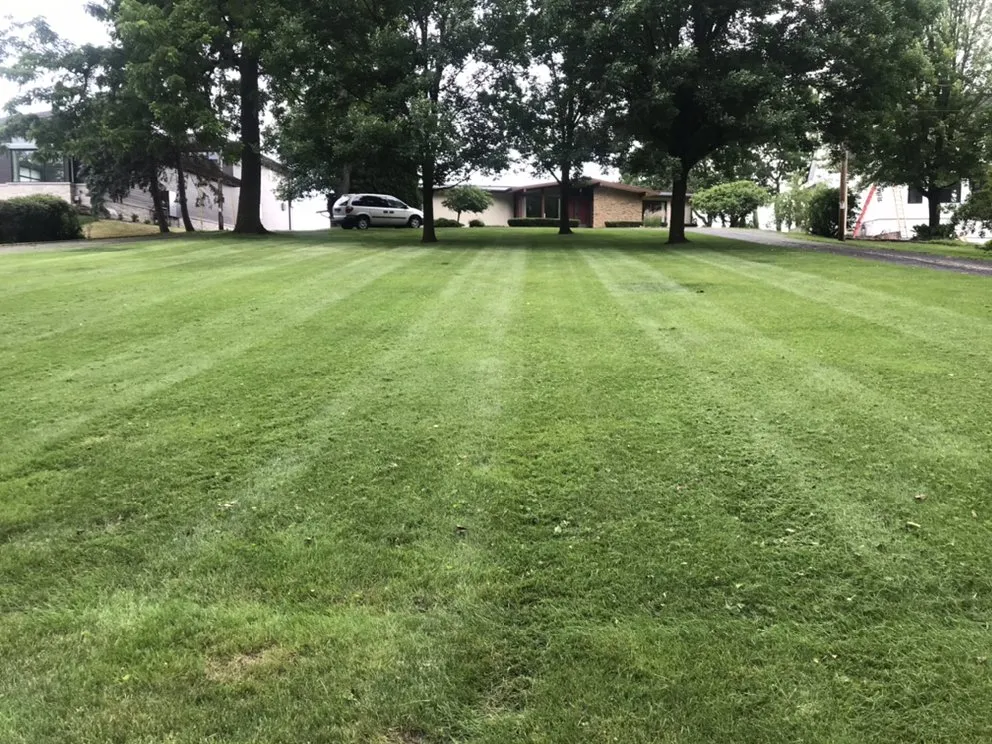 Affordable outdoor landscaping in Verona, WI - Mount Sinai Landscaping