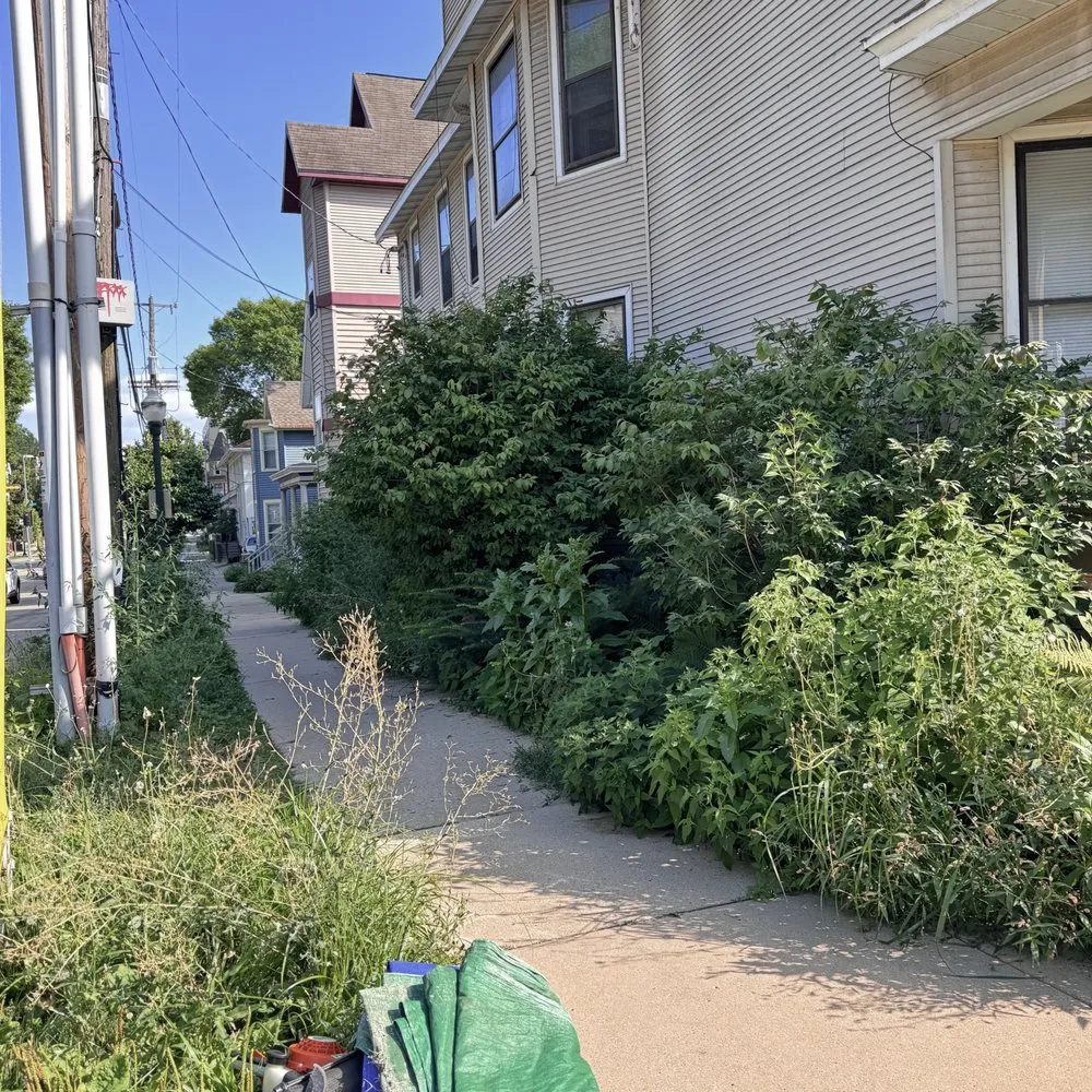 Local yard cleanup service experts serving Verona, WI - Mount Sinai Landscaping