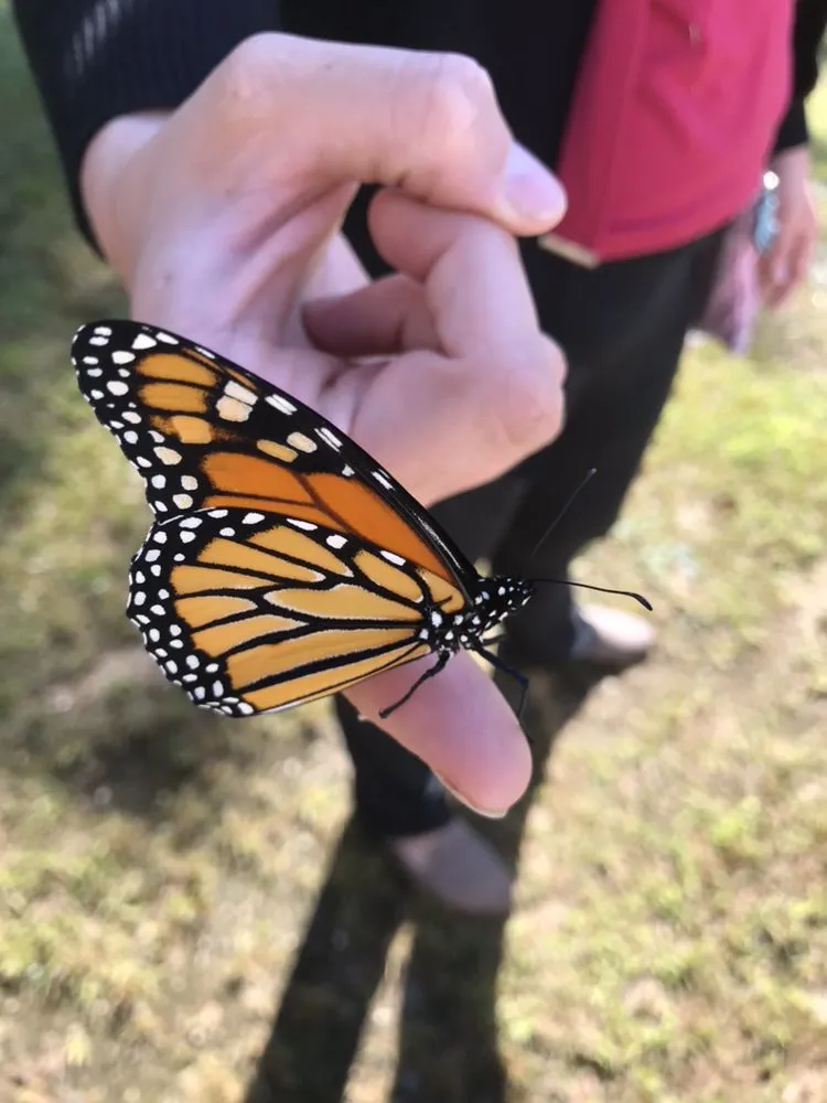 Reliable yard maintenance experts serving North Conway, NH - Mount Washington Valley Property Services