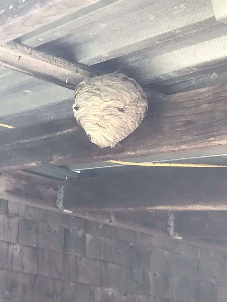 Local garden landscaping for residential properties across North Conway, NH - Mount Washington Valley Property Services