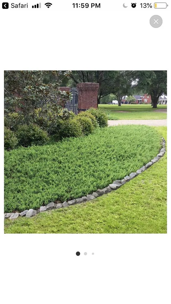 Professional yard cleanup service near you across North Conway, NH - Mount Washington Valley Property Services