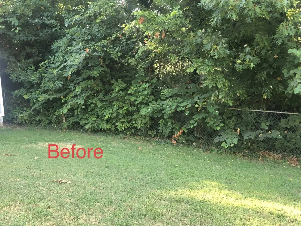 Affordable outdoor landscaping in Nixa, MO - Mount Zion Lawn and Landscape