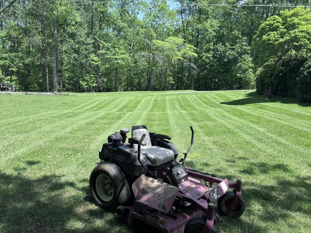 Professional yard cleanup service experts serving Hiawassee, GA - Mountain Adventure Landscaping