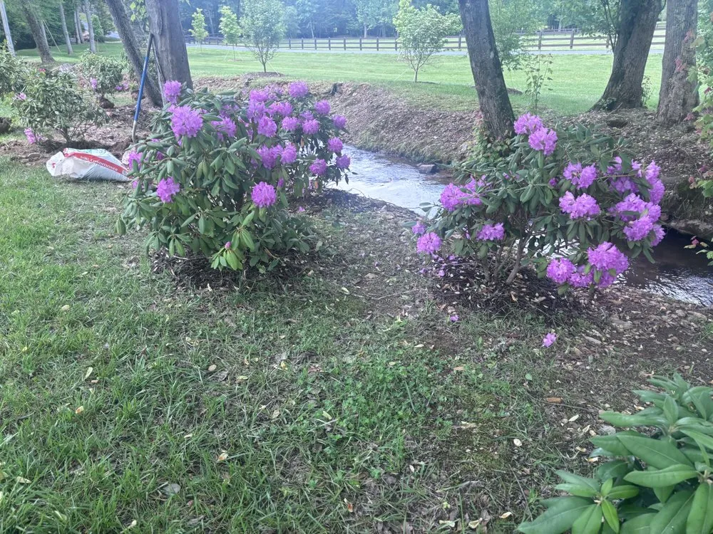 Affordable lawn mowing service near you in Hiawassee, GA by Mountain Adventure Landscaping