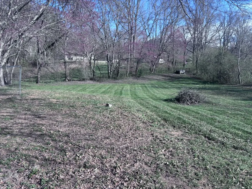 Trusted yard cleanup service with custom design in Hiawassee, GA by Mountain Adventure Landscaping