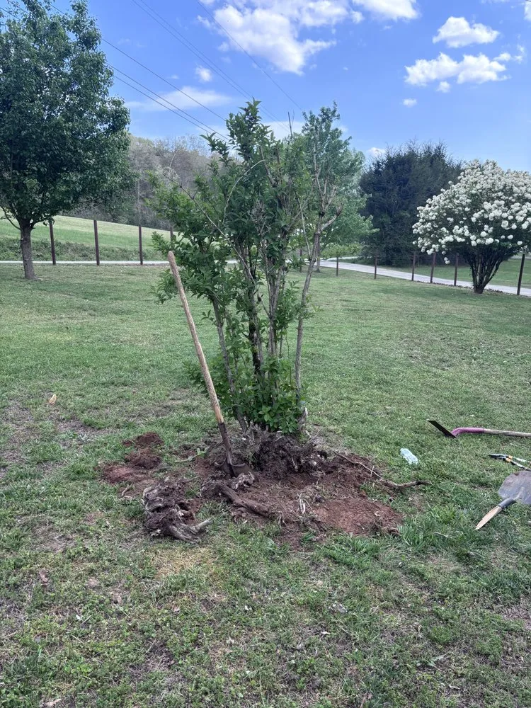 Professional residential landscaping in Hiawassee, GA by Mountain Adventure Landscaping