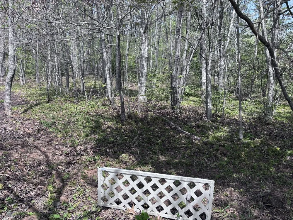 Custom yard cleanup service for homes across Hiawassee, GA - Mountain Adventure Landscaping